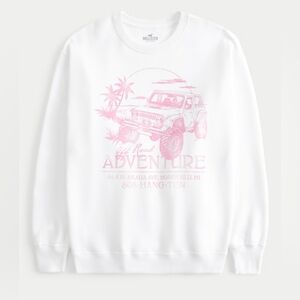 Hollister Sweatshirt